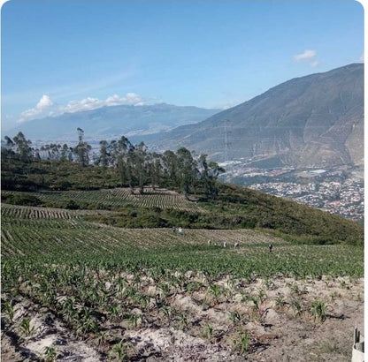 Se Vende Lotes de Terreno en La Mitad del Mundo